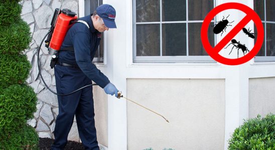 Konyaaltı Kene İlaçlama böcek ilaçlama ve haşere kontrolü — ilaclama-tr.com